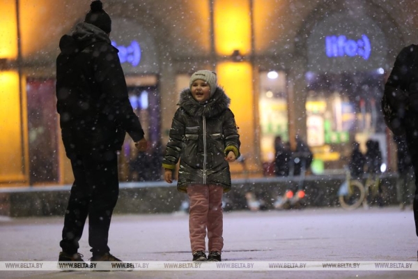 В Минске выпал первый снег В Минске выпал первый снег