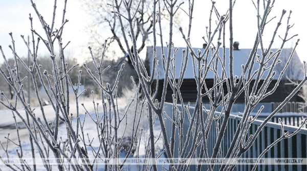 Матусевич: положительные результаты решения земельных вопросов граждан - одна из ключевых задач Матусевич: положительные результаты решения земельных вопросов граждан - одна из ключевых задач