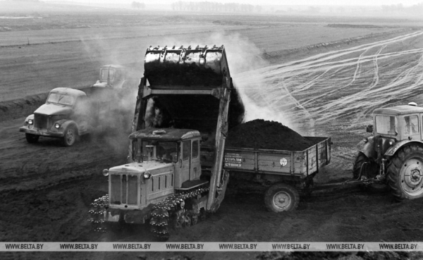 Они на страже продовольственной безопасности: труженикам АПК посвящается