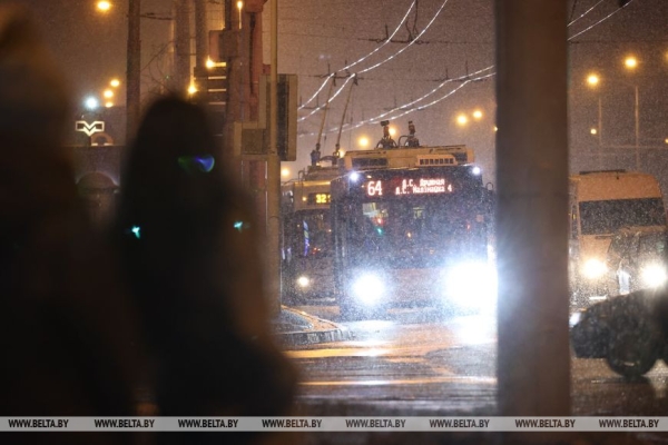 В Минске выпал первый снег В Минске выпал первый снег