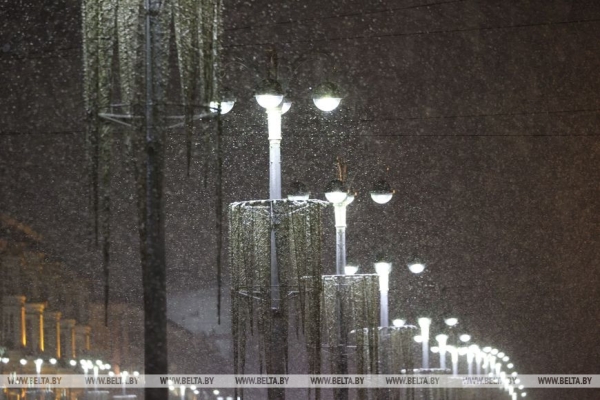В Минске выпал первый снег В Минске выпал первый снег