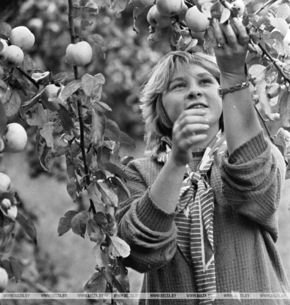 Они на страже продовольственной безопасности: труженикам АПК посвящается