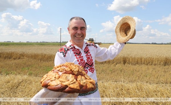 Они на страже продовольственной безопасности: труженикам АПК посвящается