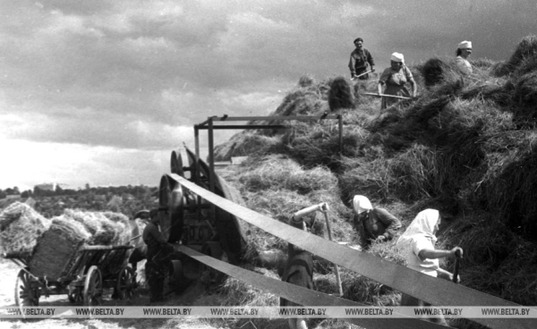 Они на страже продовольственной безопасности: труженикам АПК посвящается