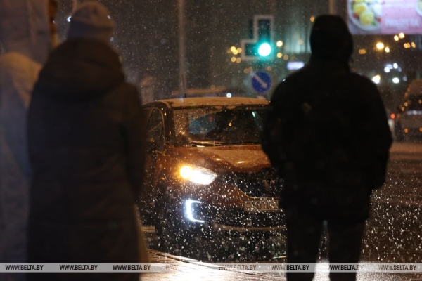 В Минске выпал первый снег В Минске выпал первый снег