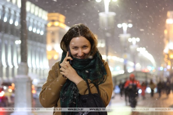 В Минске выпал первый снег В Минске выпал первый снег