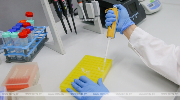 Ядерная медицина: какое оборудование для лечения рака планируют поставлять из РФ в Беларусь Ядерная медицина: какое оборудование для лечения рака планируют поставлять из РФ в Беларусь