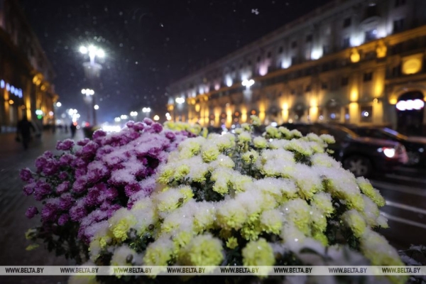 В Минске выпал первый снег В Минске выпал первый снег