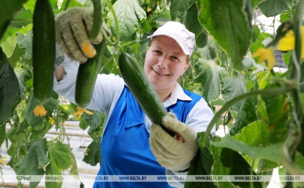 Они на страже продовольственной безопасности: труженикам АПК посвящается