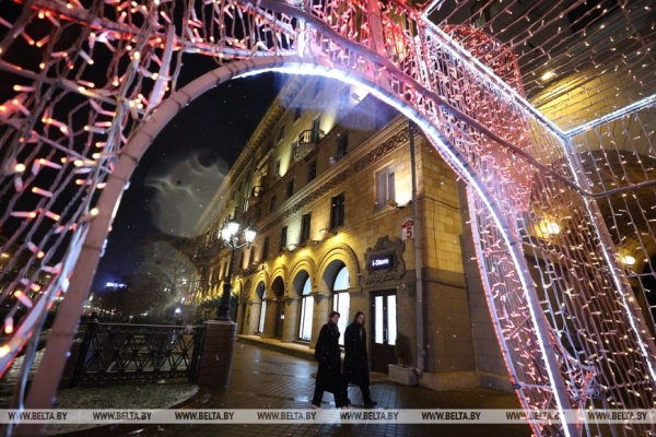 В Минске выпал первый снег В Минске выпал первый снег