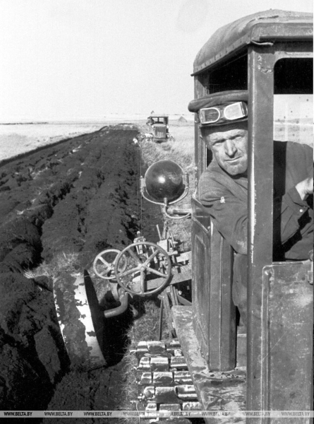 Они на страже продовольственной безопасности: труженикам АПК посвящается