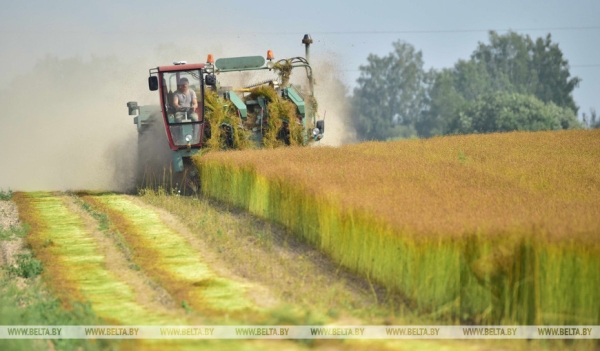 Они на страже продовольственной безопасности: труженикам АПК посвящается
