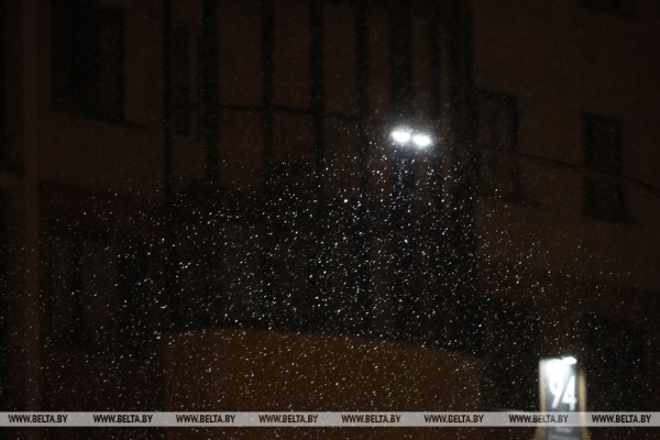 В Минске выпал первый снег В Минске выпал первый снег