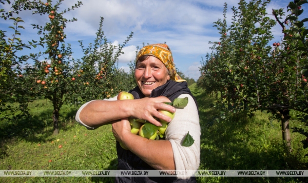 Они на страже продовольственной безопасности: труженикам АПК посвящается