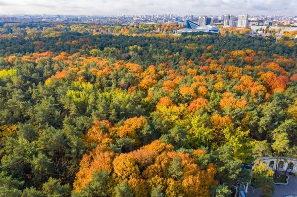 "Черная пятница" в "Маяке Минска" и "Парке Челюскинцев". Лучшие цены на недвижимость в легендарных ЖК!