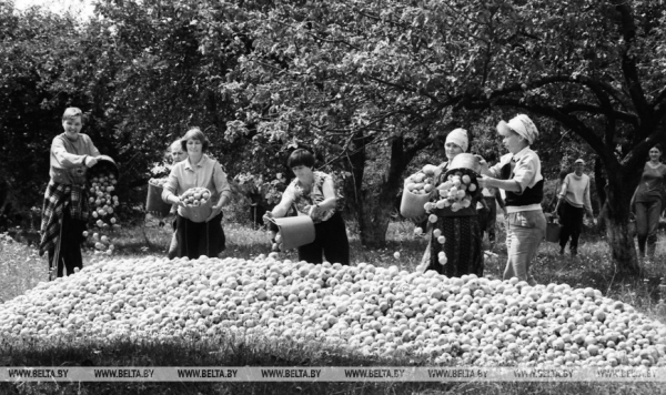 Они на страже продовольственной безопасности: труженикам АПК посвящается