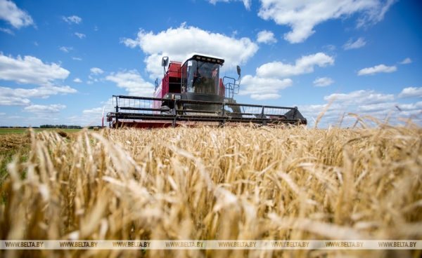 Они на страже продовольственной безопасности: труженикам АПК посвящается