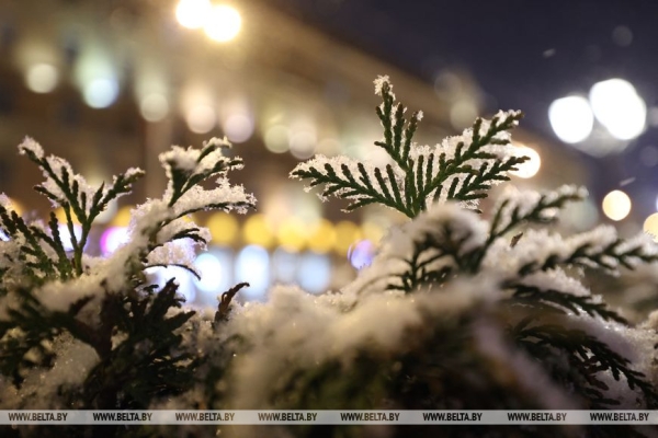 В Минске выпал первый снег В Минске выпал первый снег
