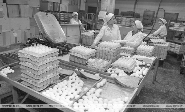 Они на страже продовольственной безопасности: труженикам АПК посвящается