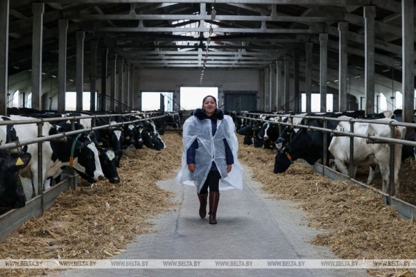 Через полмира в белорусскую глубинку: эквадорка стала ветврачом в Березовском районе