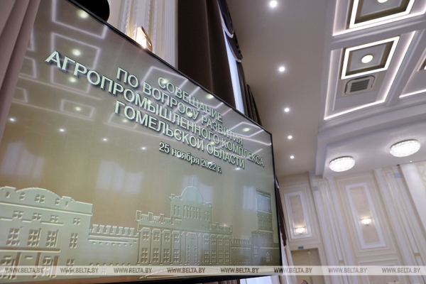 Серьезный разговор по-мужски. Лукашенко требует переломить негативные тенденции в Гомельской области