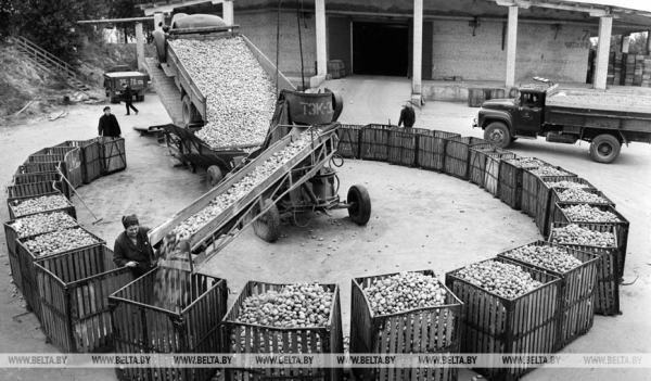 Они на страже продовольственной безопасности: труженикам АПК посвящается