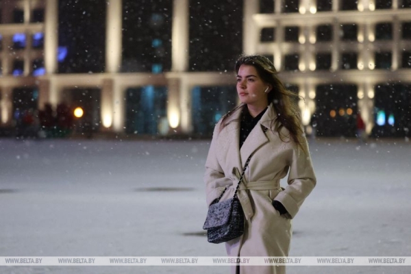 В Минске выпал первый снег В Минске выпал первый снег