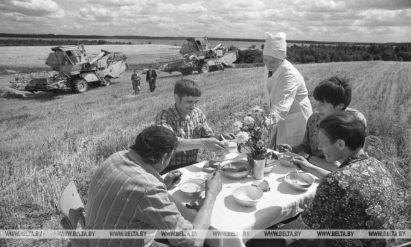 Они на страже продовольственной безопасности: труженикам АПК посвящается