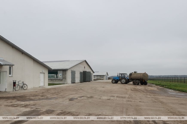 Через полмира в белорусскую глубинку: эквадорка стала ветврачом в Березовском районе