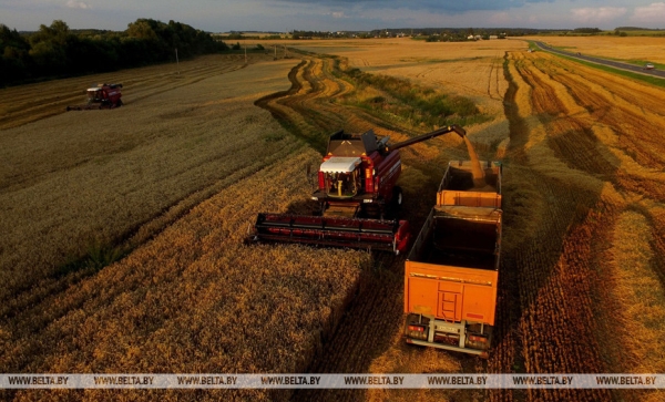 Они на страже продовольственной безопасности: труженикам АПК посвящается