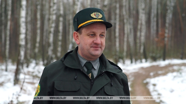 "Длина только одной буквы "Л" около 200 м!" Николай Киевец о работе в уникальном "Ленинском лесу"