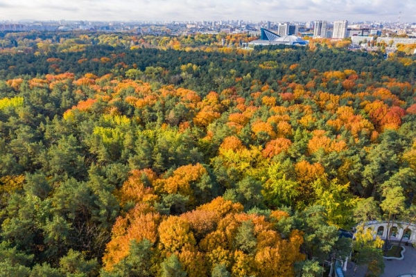 Новогодняя акция в ЖК "Маяк Минска" и "Парк Челюскинцев" ОТ 4100 BYN за м²!