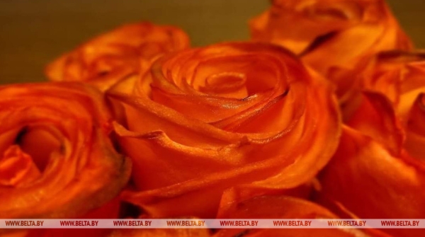 Как сделать букет роз из картошки? Победитель конкурса #Бульбапервого журналист БЕЛТА Владимир Матвеев поделился рецептом блюда