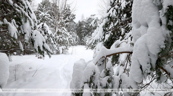 Снегопад, местами снег с дождем и до -16°С прогнозируют в выходные