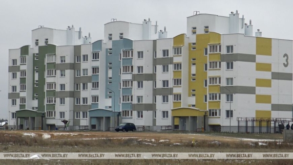 "Длина только одной буквы "Л" около 200 м!" Николай Киевец о работе в уникальном "Ленинском лесу"