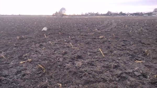 Минобороны: С-300 была сбита войсками ПВО Беларуси Минобороны: С-300 была сбита войсками ПВО Беларуси