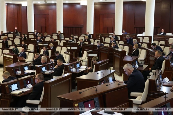 Депутаты приняли в двух чтениях законопроект о гражданстве Республики Беларусь