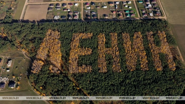 "Длина только одной буквы "Л" около 200 м!" Николай Киевец о работе в уникальном "Ленинском лесу"