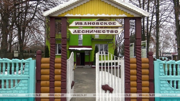"Длина только одной буквы "Л" около 200 м!" Николай Киевец о работе в уникальном "Ленинском лесу"