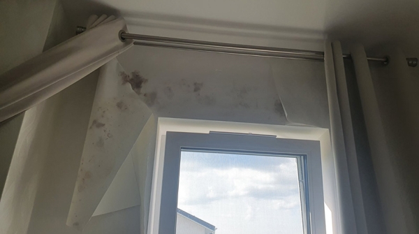 О том, как поспорили УКС и дольщики микрорайона Сокол. А Президент расставил точки над i О том, как поспорили УКС и дольщики микрорайона Сокол. А Президент расставил точки над i