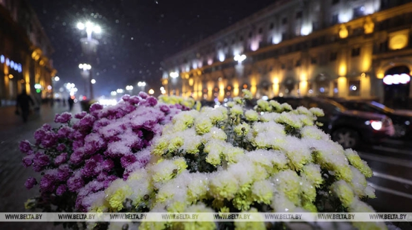 Немецкий блогер: мы восхищены, как Беларусь шагает в ногу со временем Немецкий блогер: мы восхищены, как Беларусь шагает в ногу со временем