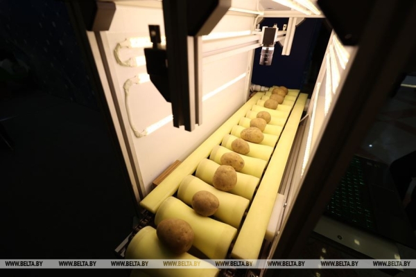 ФОТОФАКТ: Второй день работы выставки "Беларусь интеллектуальная"