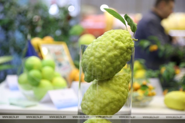 Сергеенко: выставка "Беларусь интеллектуальная" впечатляет разнообразием