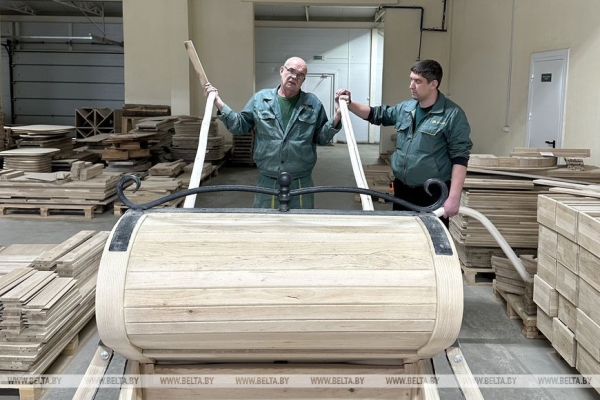 Сани для Первого, или Как пинские мастера изготовили эксклюзивный подарок Президенту