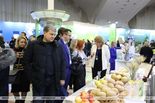 ФОТОФАКТ: Второй день работы выставки "Беларусь интеллектуальная"