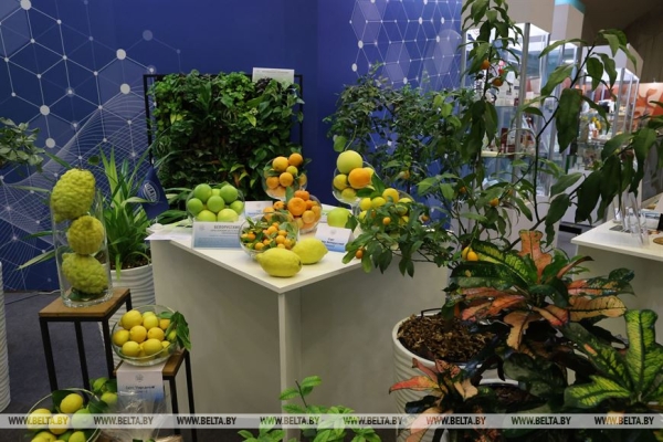 Электрокары, ноутбуки, лекарства от рака. Чем удивила "Беларусь интеллектуальная"