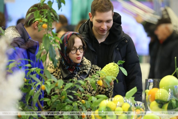 Электрокары, ноутбуки, лекарства от рака. Чем удивила "Беларусь интеллектуальная"