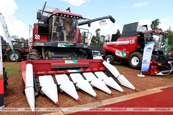 Лукашенко поблагодарил Запад за санкции Лукашенко поблагодарил Запад за санкции