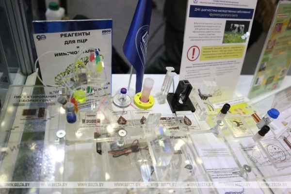 Гусаков о выставке "Беларусь интеллектуальная": общество должно знать, чем живет наука и каковы результаты Гусаков о выставке "Беларусь интеллектуальная": общество должно знать, чем живет наука и каковы результаты