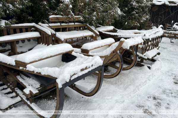 Сани для Первого, или Как пинские мастера изготовили эксклюзивный подарок Президенту